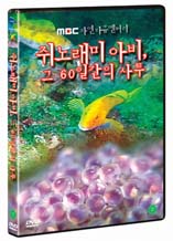 ��뷡�� �ƺ� : �� 60�ϰ��� ���� (MBC �ڿ���ť���͸�)